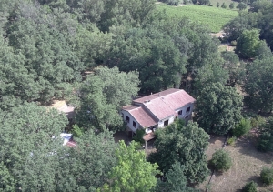 Country House With 1.8 Hectares of Land