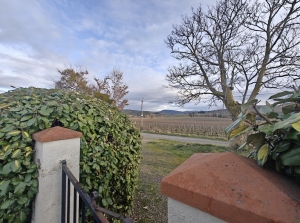 Superb Single Storey Detached Villa