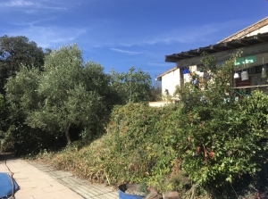 Villa with Pool in Green Peaceful Environment