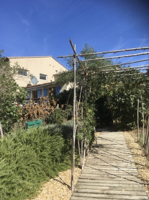 Villa with Pool in Green Peaceful Environment