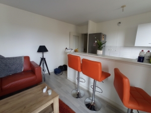 Apartment in Heart of Town with Income