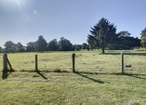 Detached Country House with Open Views