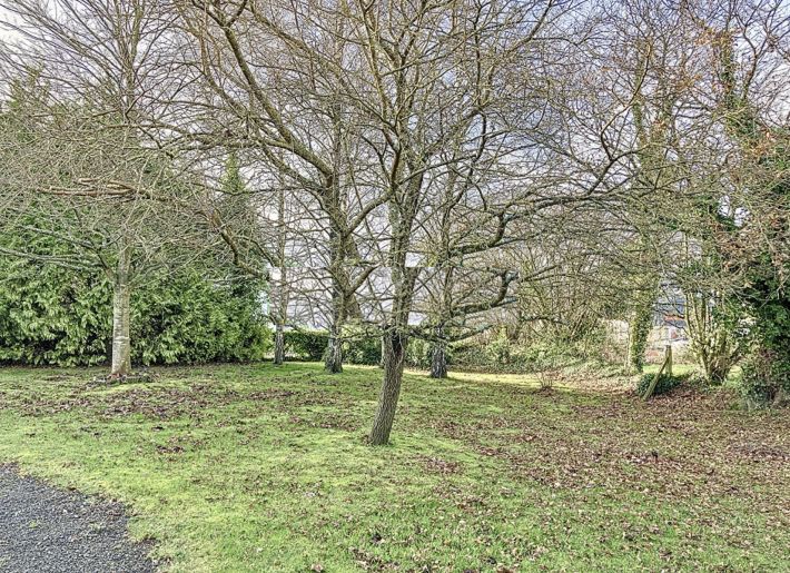 Main Photo