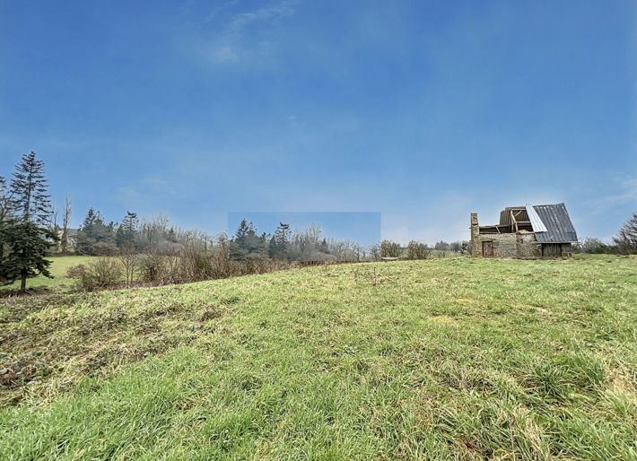 Farmhouse with Countryside Barns to Renovate