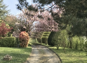 Detached House with Garden