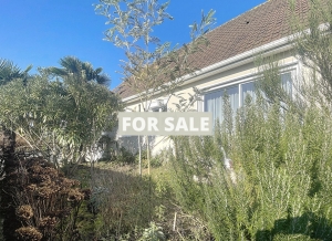 Single Storey House With Garden