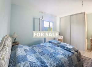 Single Storey House With Garden