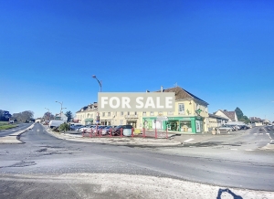 Single Storey House With Garden