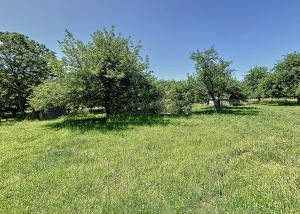 Detached Country House With Outbuildings