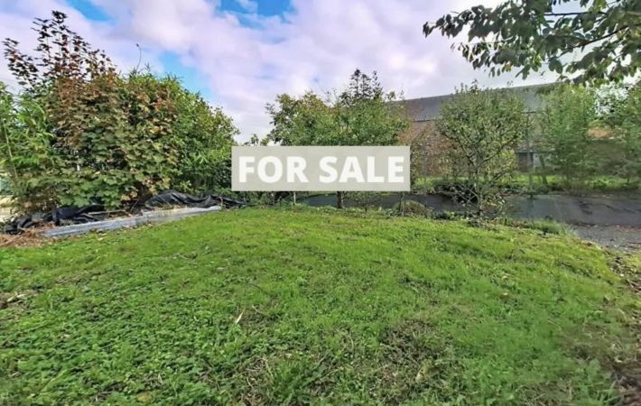 Detached Country House with Outbuilding