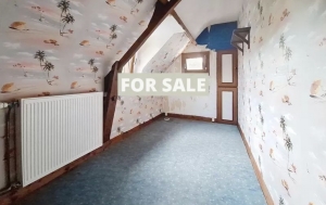 Detached Country House with Outbuilding