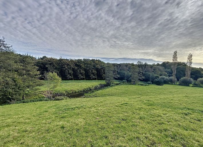 Detached Country House with Landscaped Garden