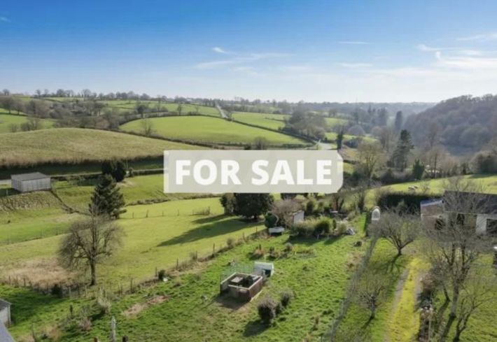 Magnificent House with Character in great Location