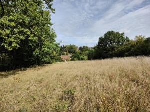 Historic Property of Character in Private Grounds