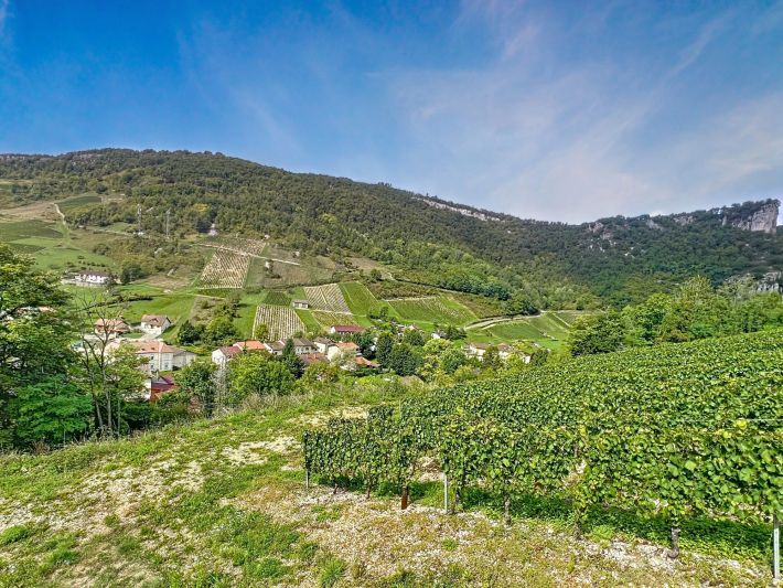 Beautiful Renovated House with Vineyard Views