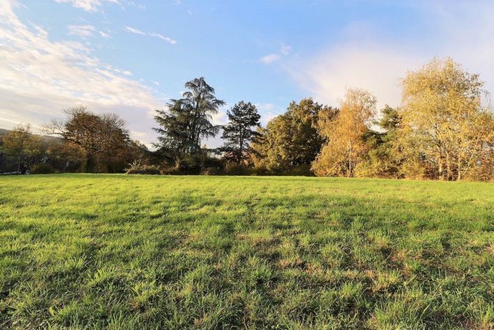 Beautiful Country House in Five Hectares of Land