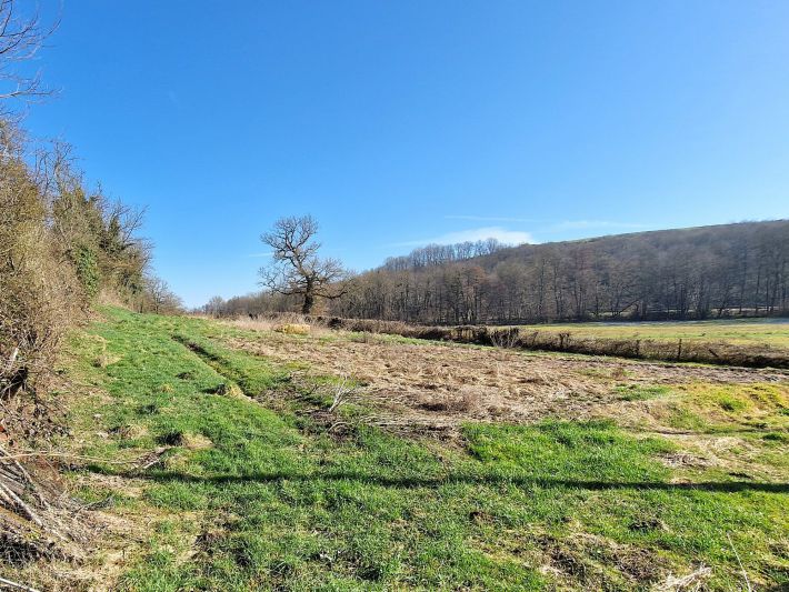 Detached Country House with Open Views