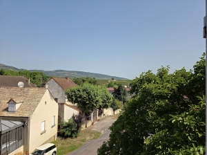 Delightful House in Wine Growing Sector Village