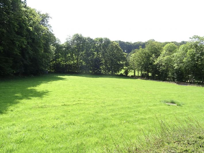 Main Photo