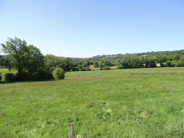 Main Photo