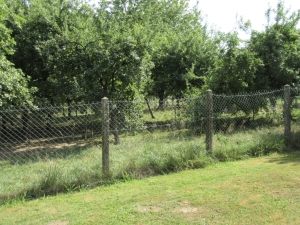 Building Plot For Sale