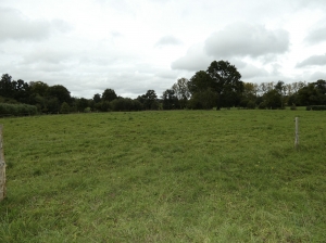 Detached Country House with Outbuilding