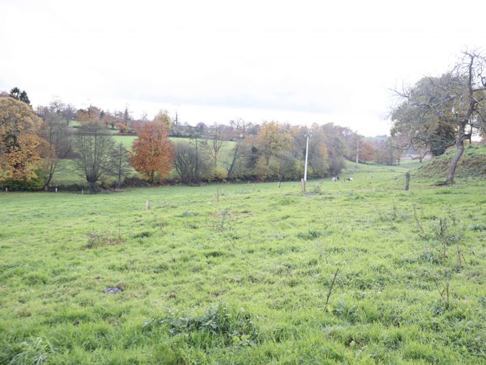 Large Country House to Finish Renovations