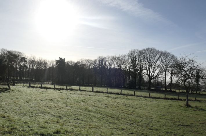 Main Photo