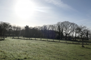 Detached Country House with Outbuilding and Open View