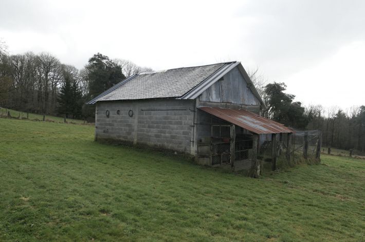 Main Photo