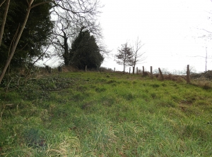 Ideal Holiday Home Property with Garden