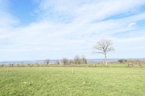 Former Farmhouse with Land and Outbuilding