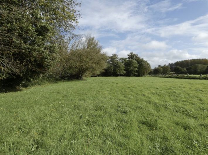 Detached Country House with Outbuilding