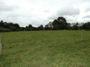 Detached Country House to Improve with Garden