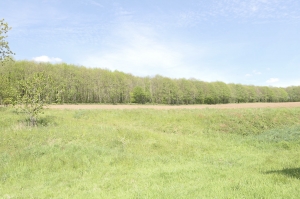 Detached Country House with Open Panoramic Views