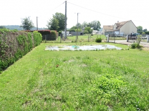 Traditional House with Outbuilding and Lovely Garden