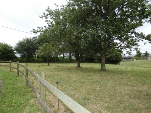 Country House with Outbuilding and Open Views