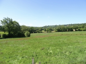 Detached Country House with Open View