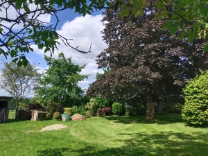 Detached House with Landscaped Garden