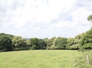 Detached Country House with Open View