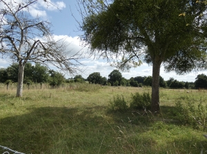 Countryside Barn to Develop, Huge Potential