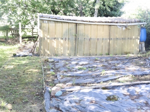 Detached House with Garden and Outbuilding