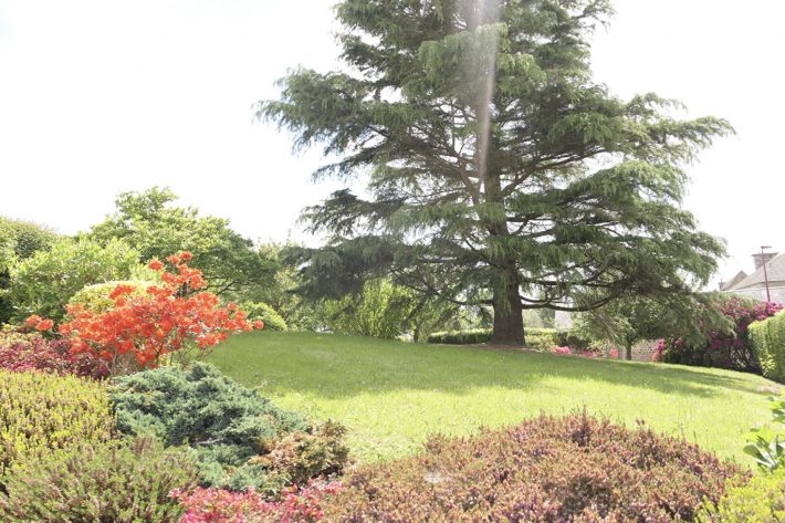 Detached House with Landscaped Garden
