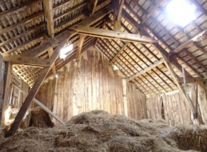 Huge Farm House for Further Renovation