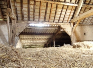 Huge Farm House for Further Renovation