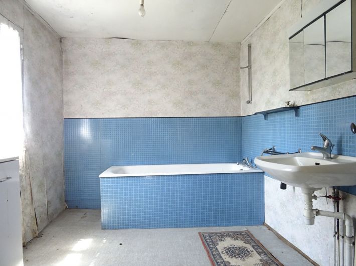 Huge Farm House for Further Renovation