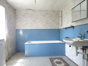 Huge Farm House for Further Renovation