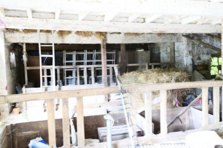 Huge Farm House for Further Renovation