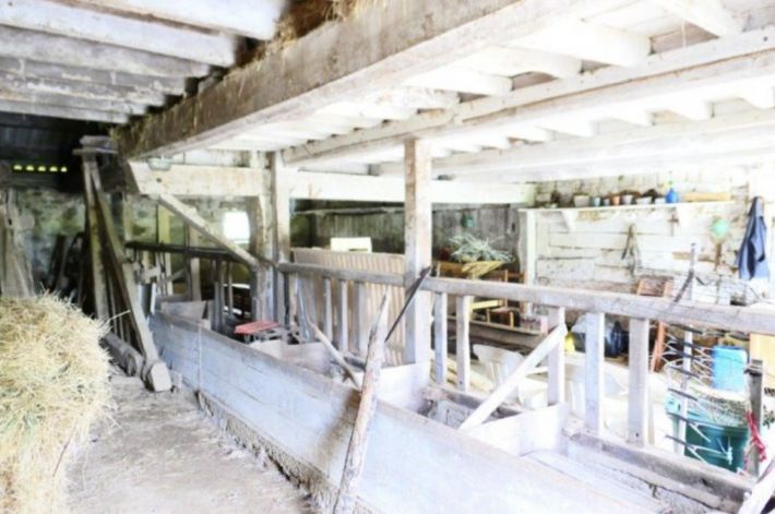 Huge Farm House for Further Renovation