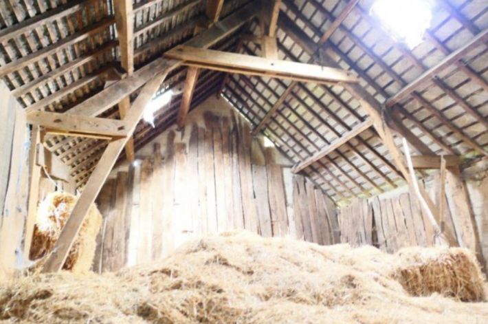 Huge Farm House for Further Renovation